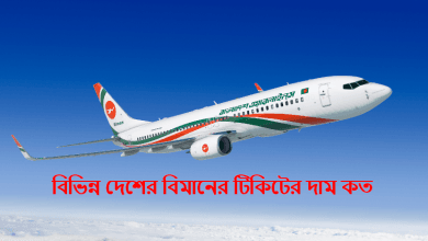 বিভিন্ন দেশের বিমানের টিকিটের দাম কত