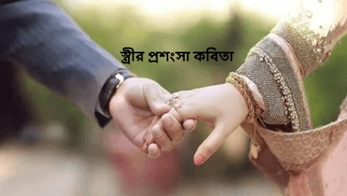 স্ত্রীর প্রশংসা কবিতা