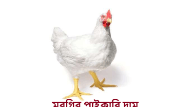 মুরগির পাইকারি দাম