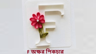 F অক্ষর পিকচার