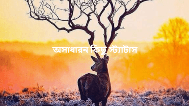 অসাধারন কিছু স্ট্যাটাস