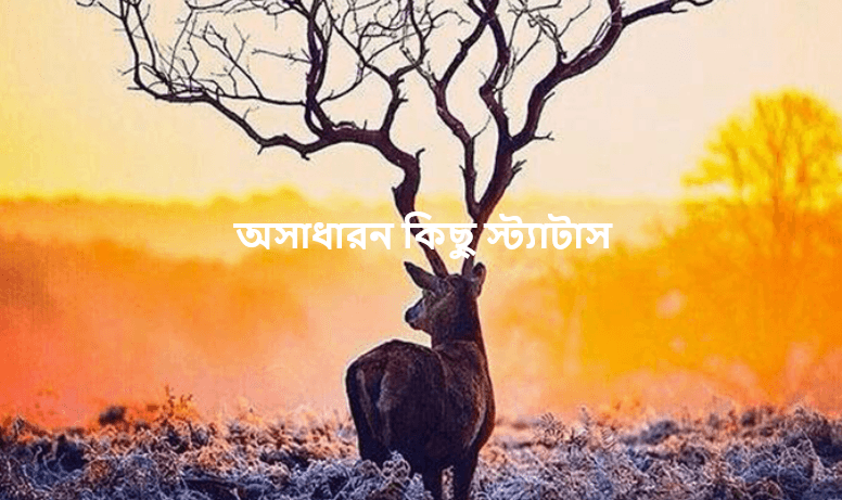 অসাধারন কিছু স্ট্যাটাস