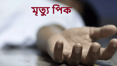 মৃত্যু পিক